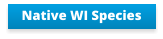 Native WI Species