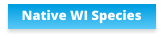Native WI Species